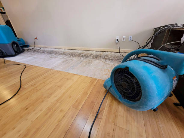 Professional Structural Drying technician working in Petersburg, TX
